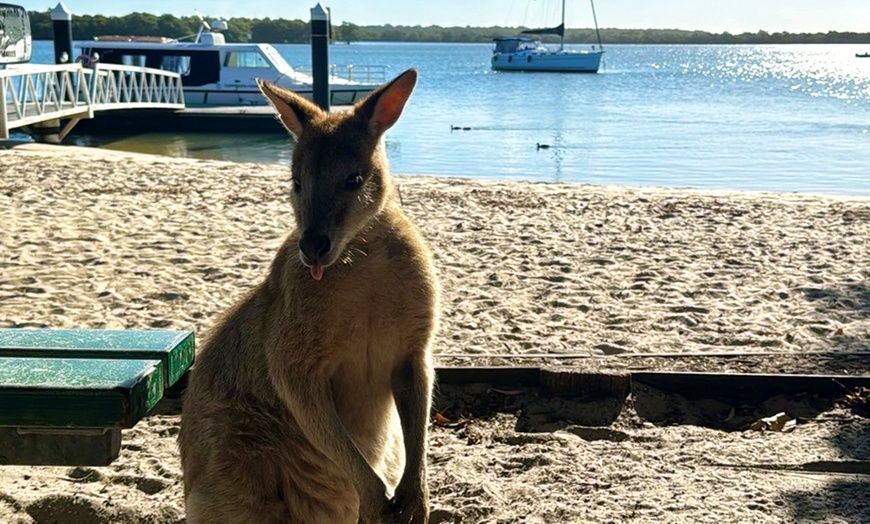 Image 9: Thrilling 30-Min Jet Ski Tour for up to Two People in Surfers Paradise