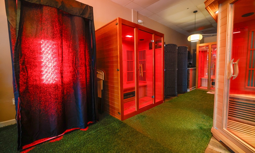 Image 4: Cold Plunge, Sauna and Red Light Therapy: Choose 1, 2 or all 3 Options