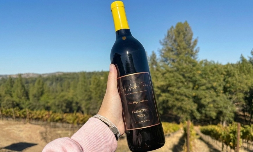 Image 5: Wine Tasting Experience w/ Personal Charcuteries for Up to 4 and More