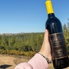 Image 5: Wine Tasting Experience w/ Personal Charcuteries for Up to 4 and More