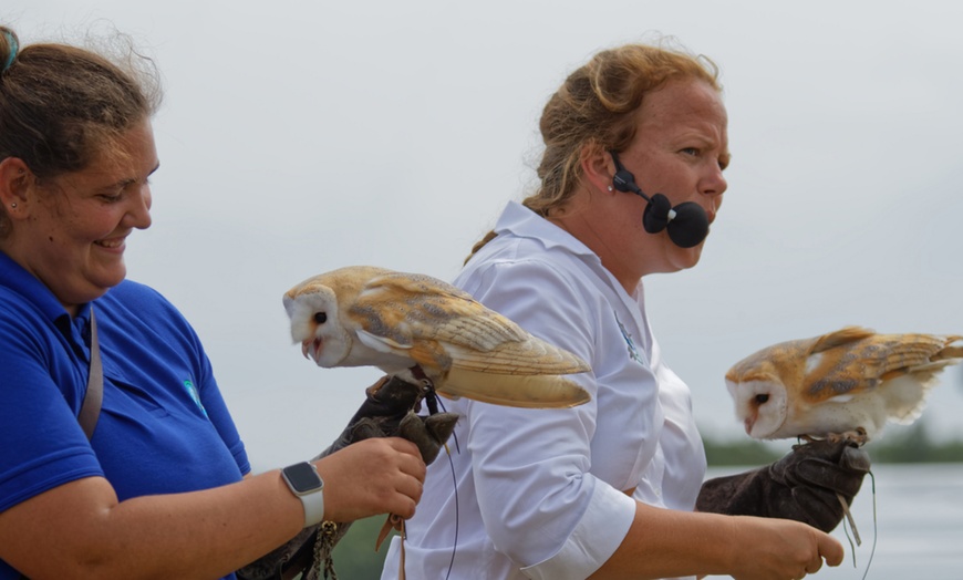 Image 2: Birds of Prey or Owl Encounter Experience at CJ's Birds of Prey