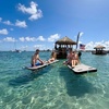 Image 4: Embark on a Private or Group Tiki Cruise Adventure from Cruisin' Tikis