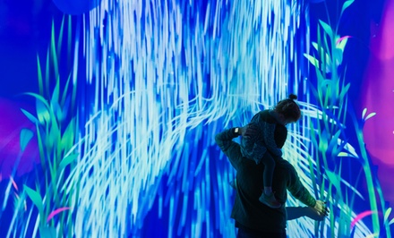 General Admission + IMAX Film (Child/Student) - The Tech Interactive