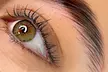 Professional Lash Lift & Brow Tint in Birmingham (Up to 44% Off) - Image 3