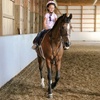 Image 1: 1 or 2 Horseback Riding Lessons – Ride into Adventure