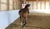 1 or 2 30-Minute Horseback Riding Lessons – Learn to Ride at Rogers Equestrian Center(Up To 33% Off)