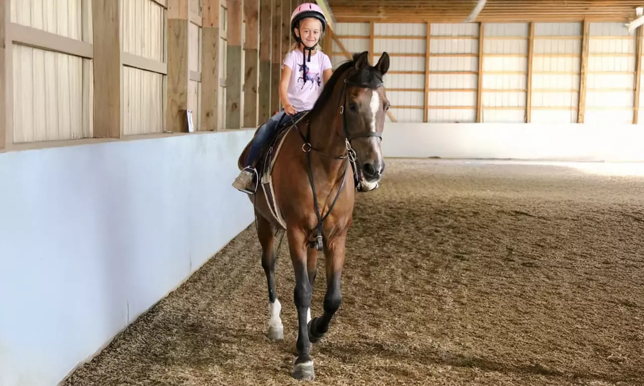 1 or 2 Horseback Riding Lessons – Ride into Adventure