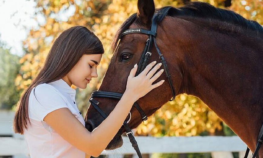 Image 1: 1 o 3 clases de equitación de todos los niveles para 1 persona