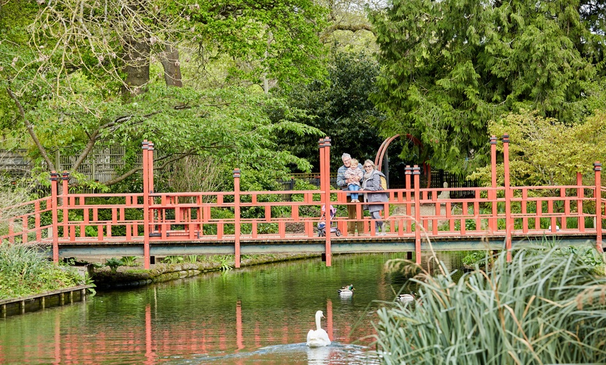 Image 7: Entry Ticket to Beale Wildlife Park