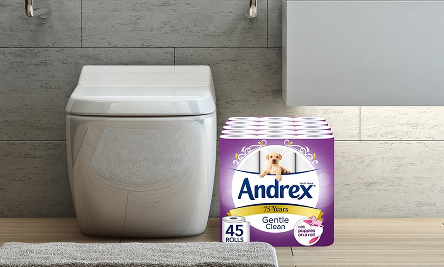 Image 2: Rolls of Andrex Gentle Clean Toilet Tissues