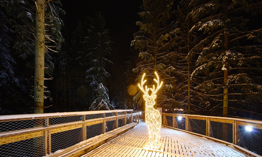 Image 14: Odkryj magię natury w Centrum Przyrodniczo-Edukacyjnym Brama w Gorce