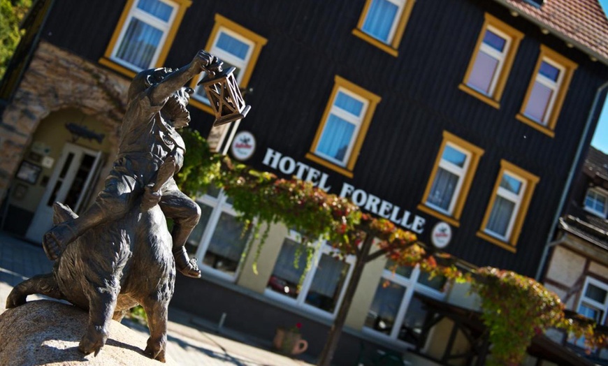 Image 1: Harz: 2-5 Nächte inkl. Halbpension und Sauna