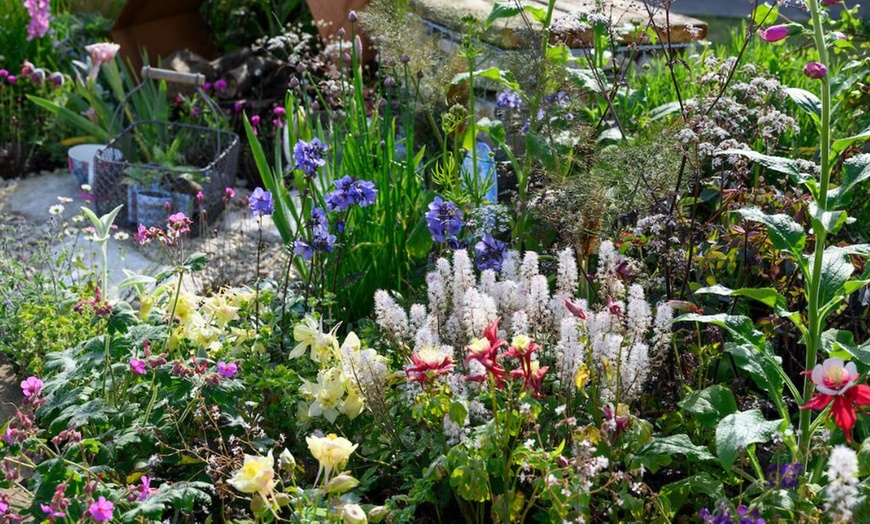 Image 4: Adult Ticket to BBC Gardeners’ World Spring Fair