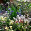 Image 4: Adult Ticket to BBC Gardeners’ World Spring Fair