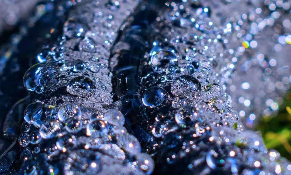 Garden Gear Soaker Hose Kit - 30M or 50M