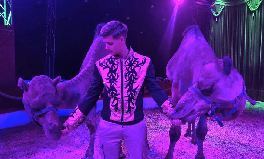 Image 13: Wintercircus Pallasso 2025-2026: Tickets voor tribune A, B of C 