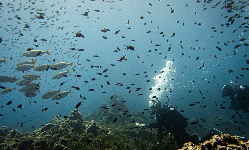Image 19: Bautizo de buceo o excursión snorkel con fotos 