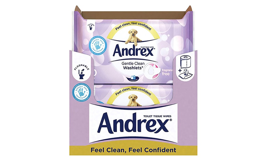 Image 14: Andrex Flushable Wipes
