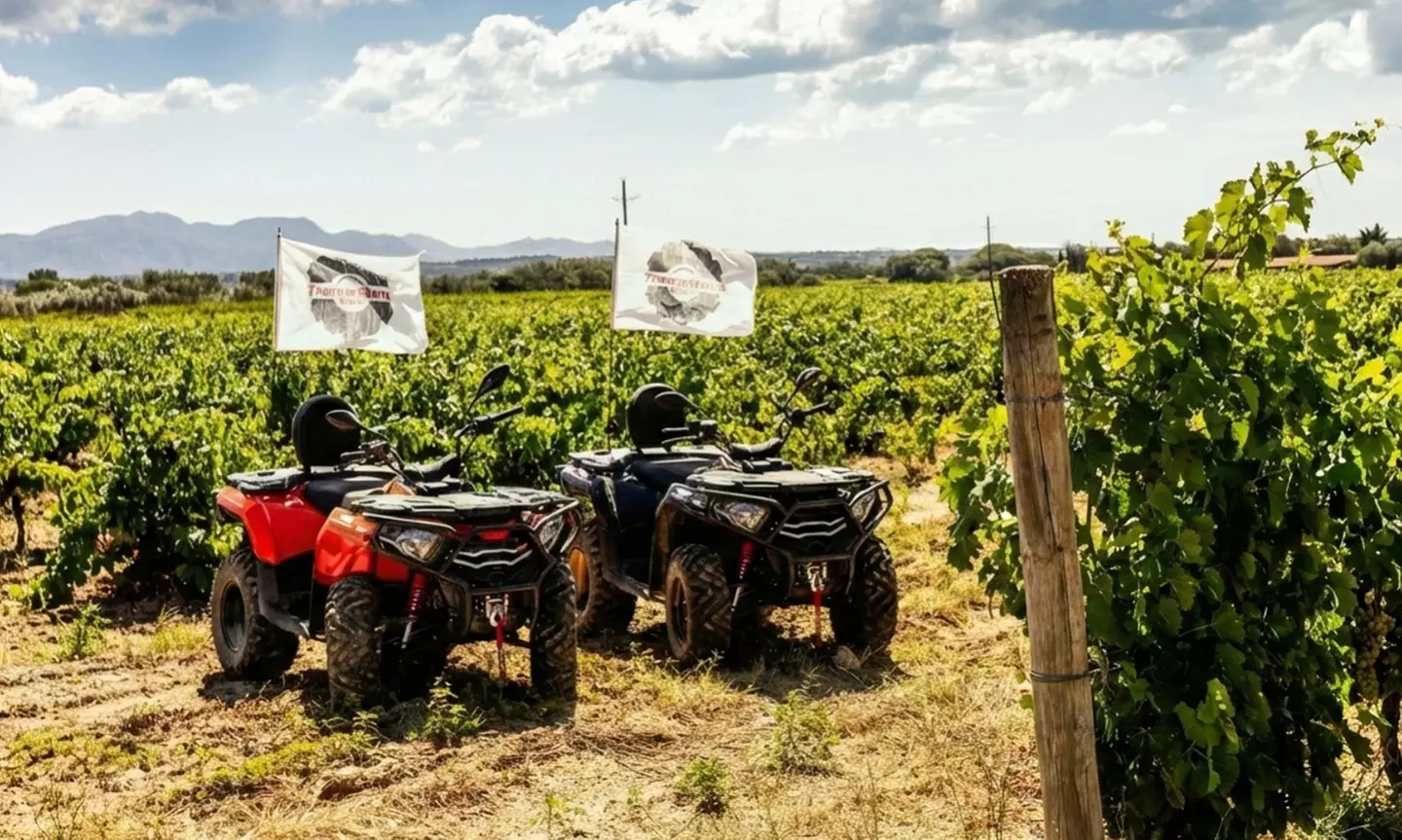 Tour en quad por la Albera para dos personas