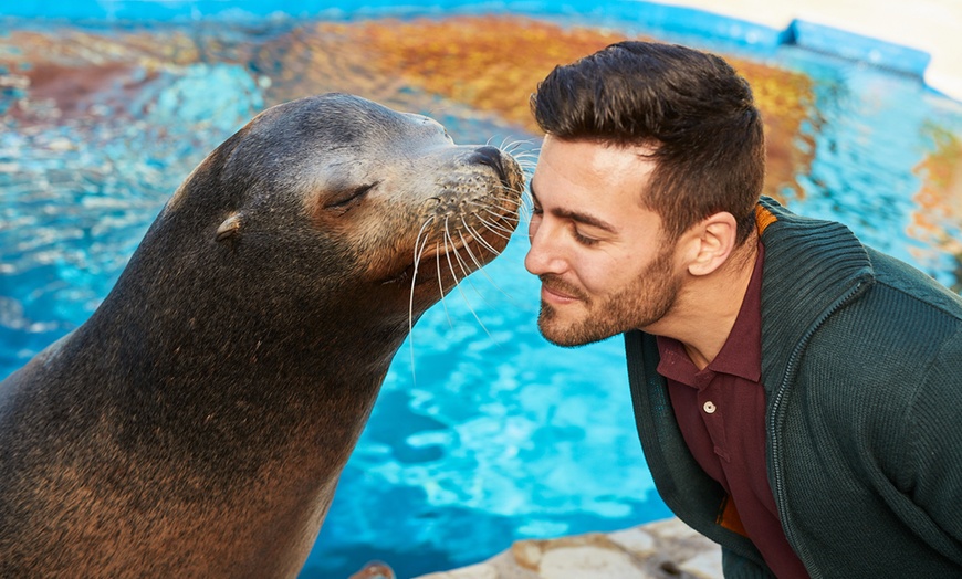 Image 3: Diversión en familia con una entrada a MundoMar y/o Aqualandia
