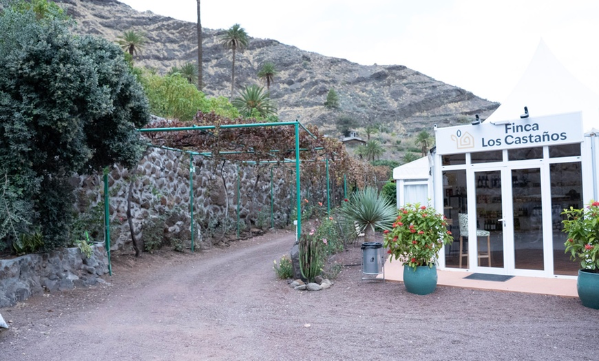 Image 12: Visita a la Finca Los Castaños con degustación de café para 1, 2 o 4
