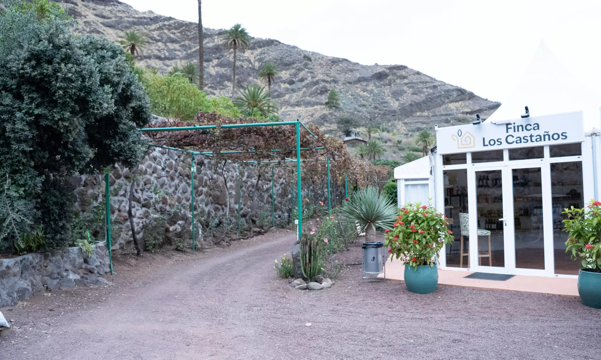 Visita a la Finca Los Castaños con degustación de café para 1, 2 o 4
