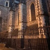 Image 5: Original Dublin Haunted Tour: Dracula’s Dublin, Witchcraft & More