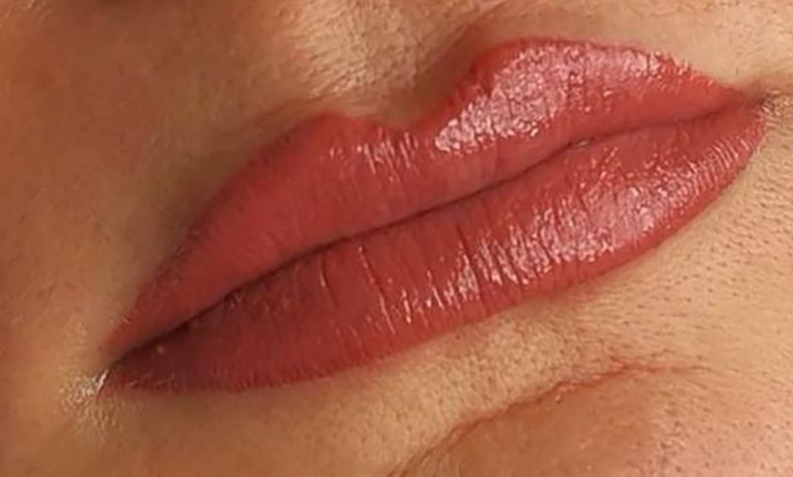 Image 3: Permanent Make-up an 1 Zone zur Wahl für 1 Person