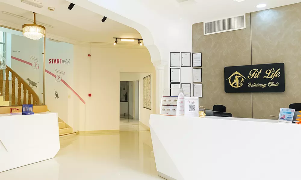 Pet Grooming & Vaccine Care (Consultation, PCH/DHPPI, and Deworming)