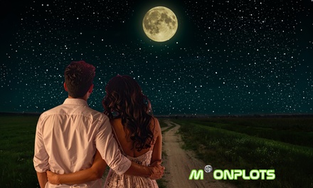 Moonplot - Email - Moonplots