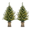 Image 3: HOMCOM 4ft Artificial Christmas Trees with Lights