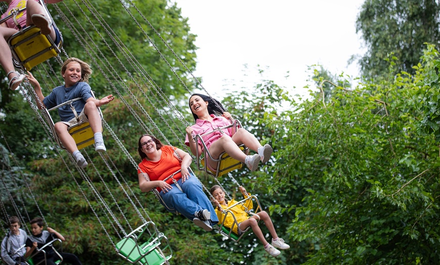 Image 12: Une journée magique au delphinarium de Boudewijn Seapark