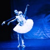 Image 3: „Swan Lake – Beyond the Stage“: Ticket vom 1.10. bis 5.10.2025
