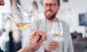 Dégustation de 10 grands vins chez toi pour 6 personnes avec une réduction jusqu’à 94%