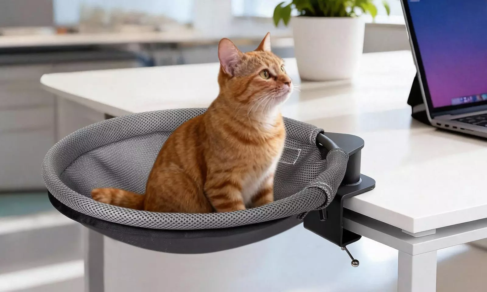 Skylos 360-Degree Rotating Desk Cat Hammocks and Beds