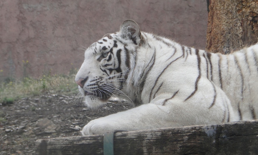 Image 12: Zoo de Fréjus : les animaux comme vous ne les avez jamais vus !