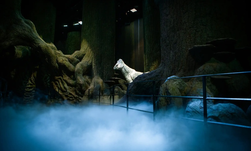 Image 4: Experience the Wonder of Harry Potter Studio All Year Long
