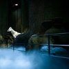 Image 4: Experience the Wonder of Harry Potter Studio All Year Long