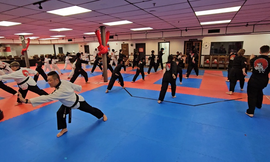 Image 4: 1 or 2 Months of Korean Martial Arts with Uniform Options