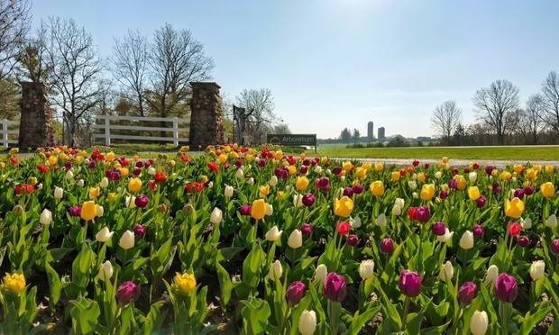Cedar Valley Arboretum & Botanic Gardens