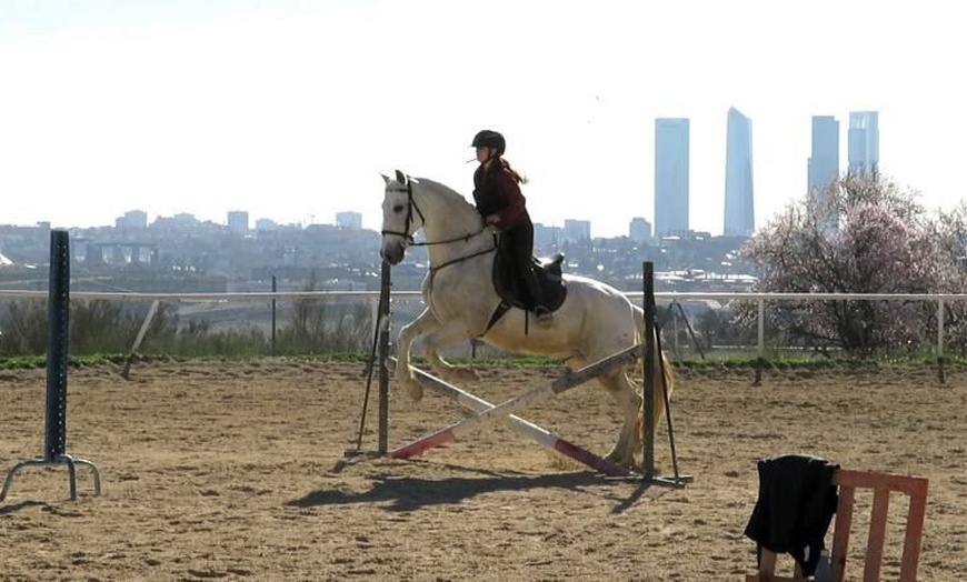Image 9: Paseo a caballo con todo el material incluido para 1 o 2 personas