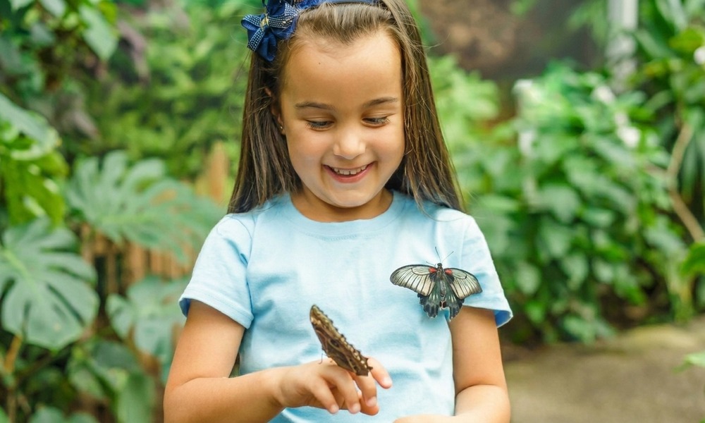 Discover Dubai Butterfly Garden: Entry For 1, 2, Or 4 Adults