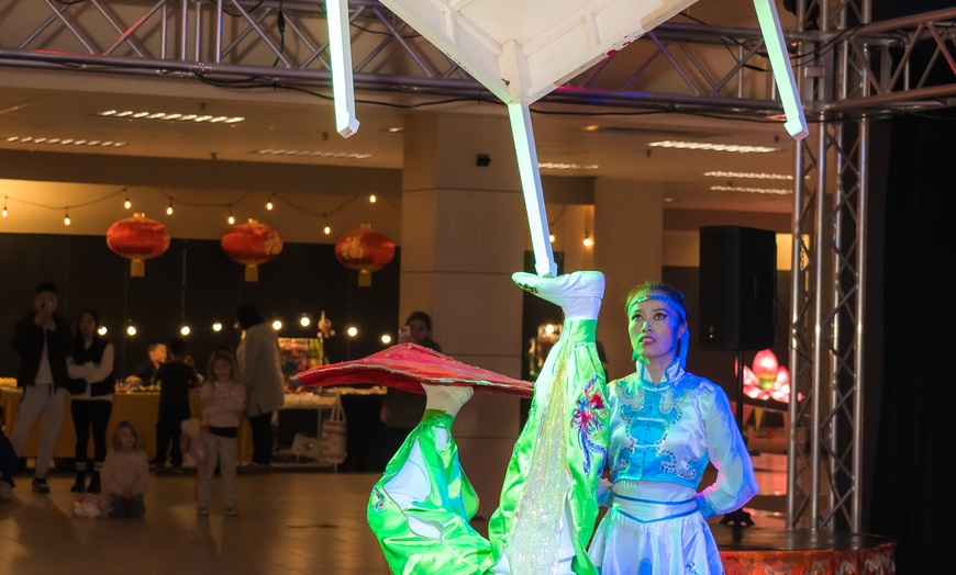 Image 4: Admission to Illuminate Festival of Lights through Dec 31, 2025