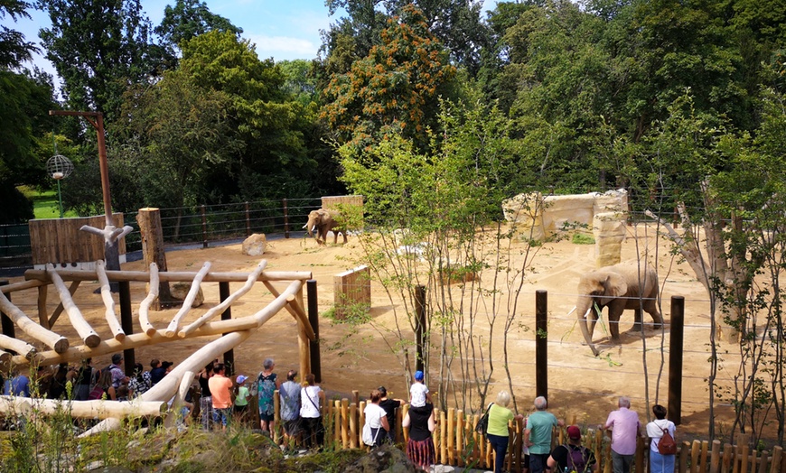 Image 11: Tageskarte für 1 Erwachsenen im Zoo Dresden im Januar oder Februar '26