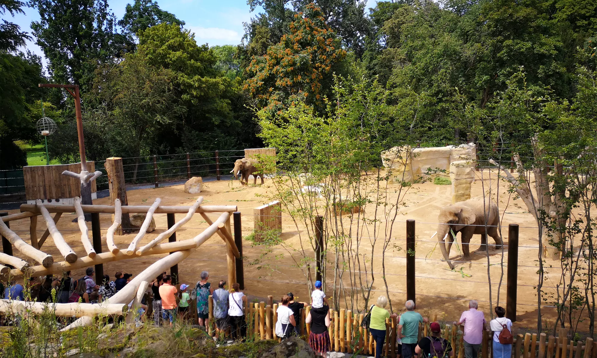 Tageskarte für 1 Erwachsenen im Zoo Dresden im Januar oder Februar '26