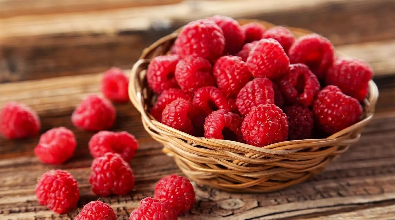 Raspberry Full Season Collection 9 or 18 Bare Root Canes