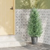 Image 5: Set of Two HomCom Artificial Cypress Trees 