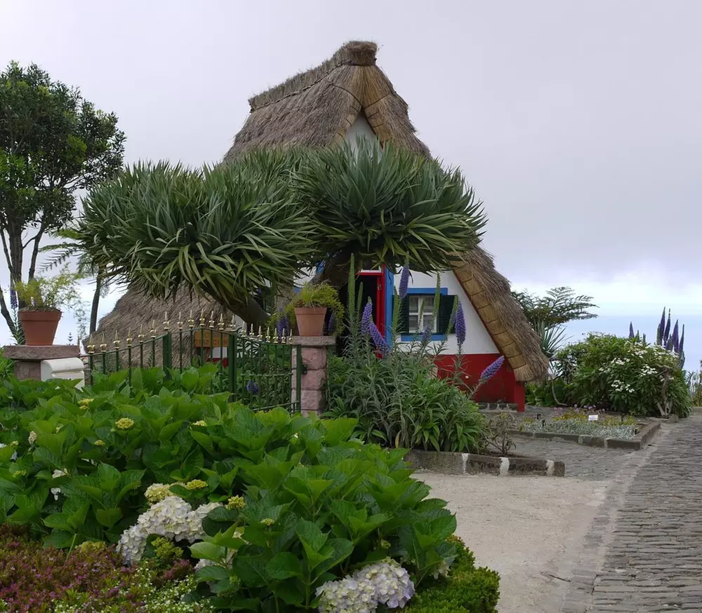 ✈ 6-Day Madeira: Explore Portugal's Garden Island with Flights and Car