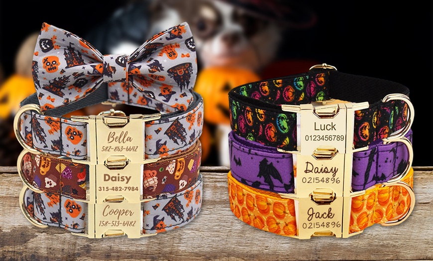 Image 2: Personalisierbares Haustier-Halsband im Halloween-Design