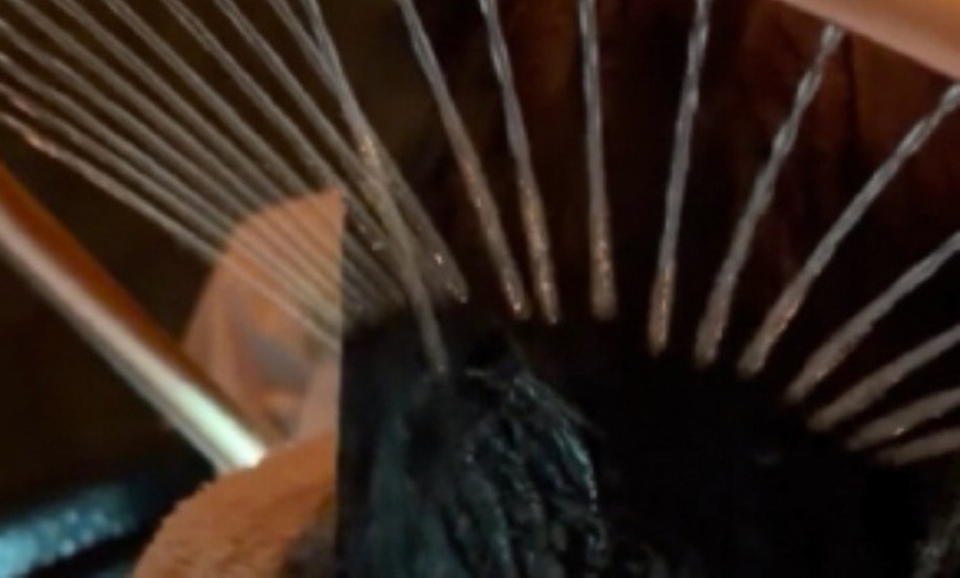 Image 5: Rejuvenating Japanese Head Spa Treatments for Scalp Health